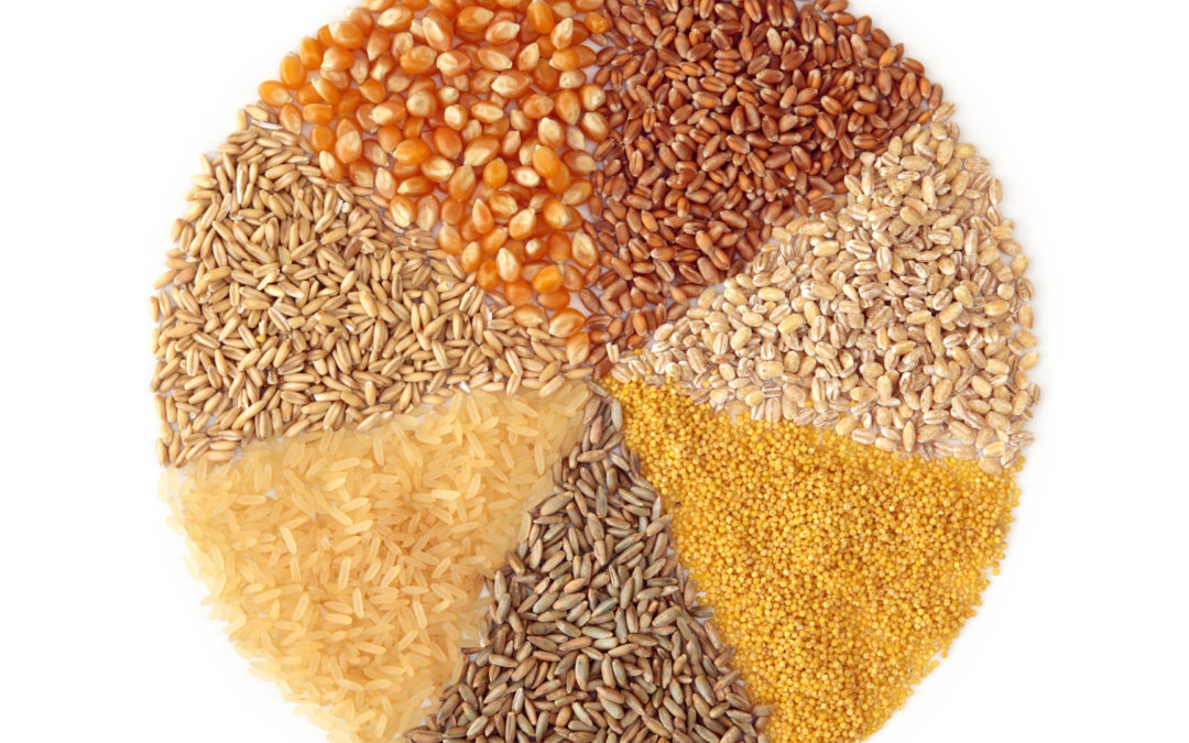 When, and How, to Give-Up Grains. When “Healthy” Food Isn’t, Part 1